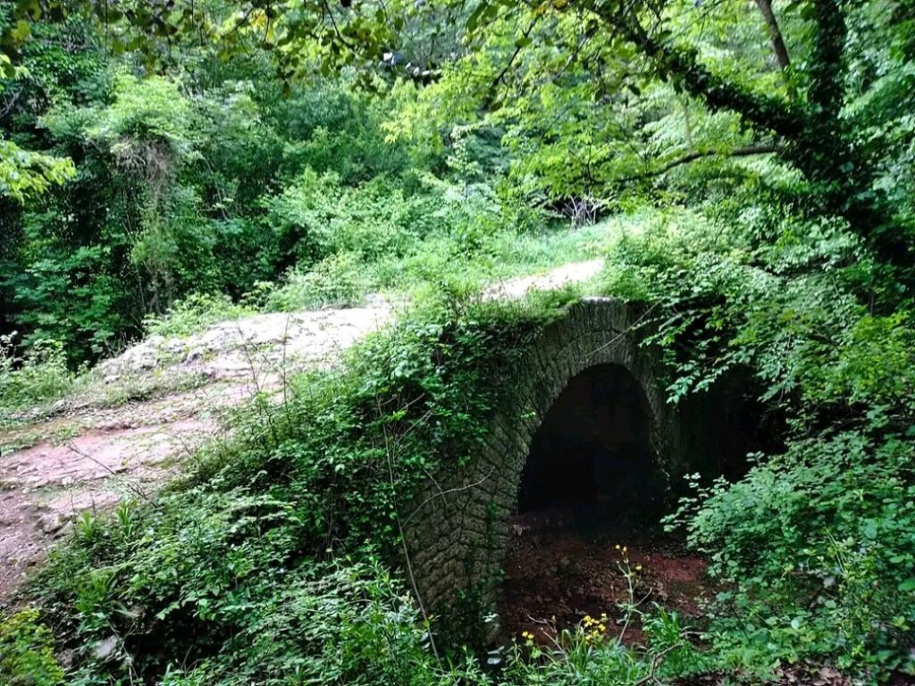 Val ponci e i Ponti Romani - Resti di un ponte romano ricoperto di fronde in mezzo alla foresta.