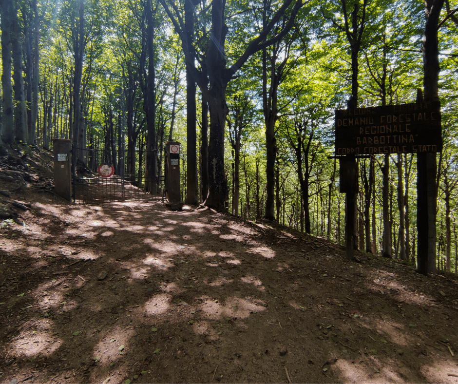 Il cancello che segnala l`inizio dell`area demaniale della Barbottina.