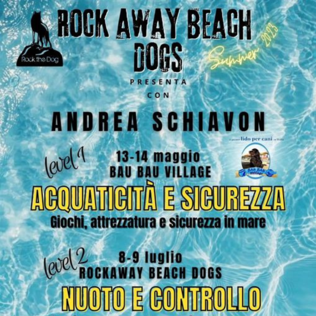 Rock Away Beach Dog: Divertitevi in acqua insieme al vostro cane e promuovete l'acquaticità e la sicurezza in mare.
